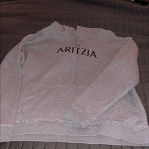Aritzia Sweatshirt